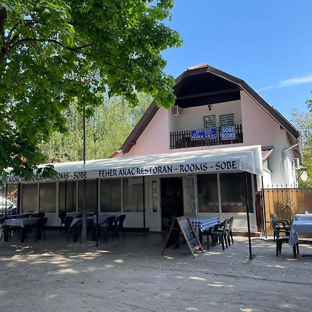 Feher Akac Guest House Palić Exteriör bild