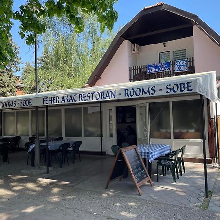 Feher Akac Guest House Palić Exteriör bild